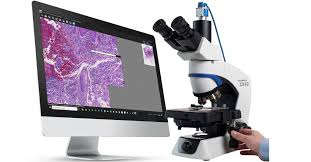 Microscope Slide Scanner Market To Reach $21,875 Million by 2031